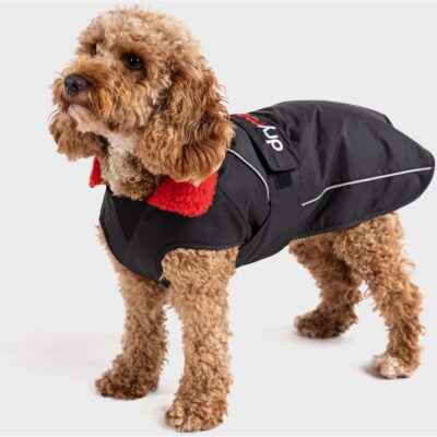 Ein lockiger brauner Hund steht seitlich und trägt einen schwarzen Dryrobe Hundemantel mit rotem Innenfutter.