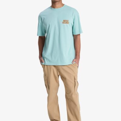Ein Mann trägt ein türkisfarbenes Quiksilver-T-Shirt mit Logo-Print und beigefarbene Cargo-Hose vor weißem Hintergrund.